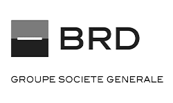 brd-1